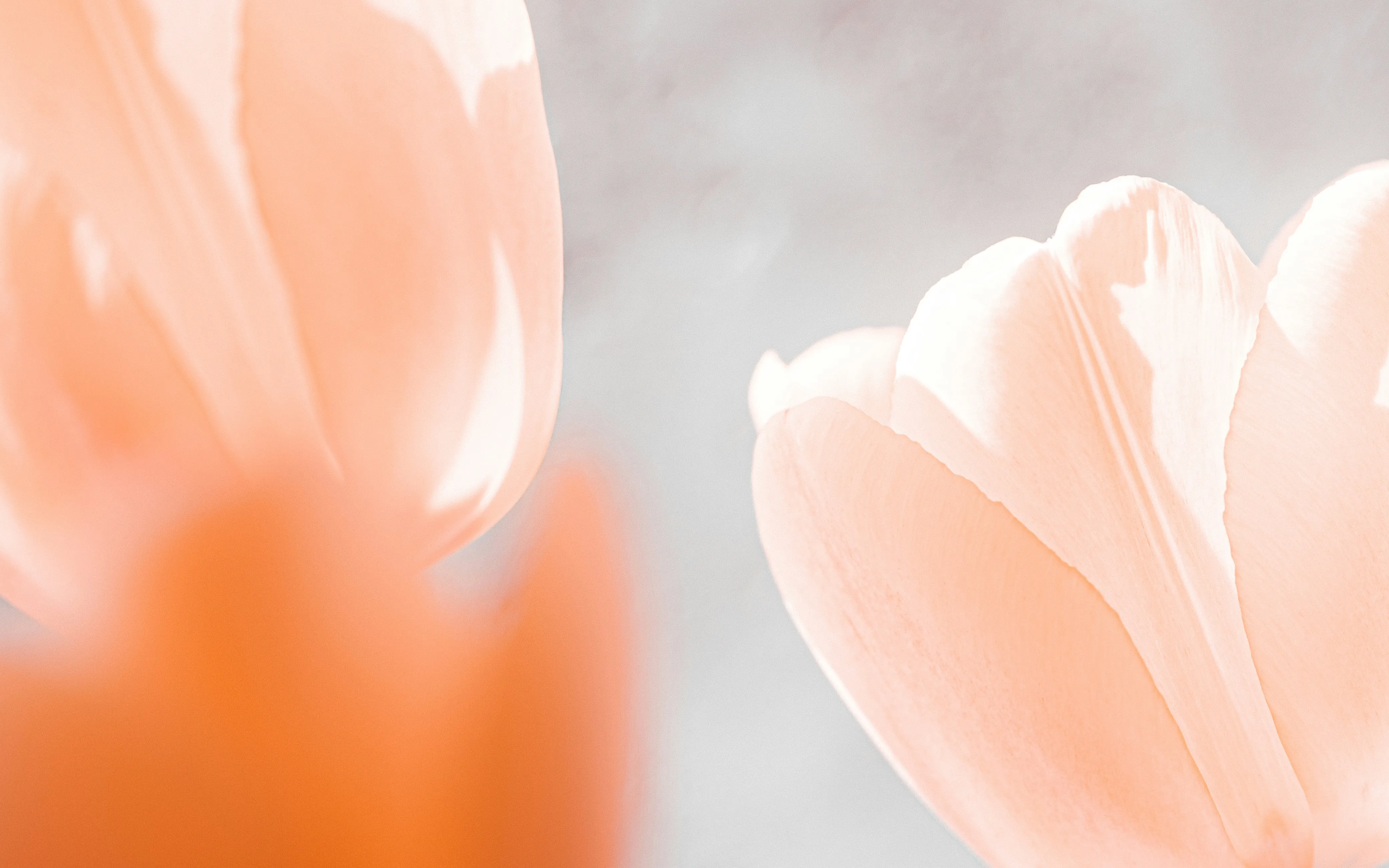 Clarins skincare products